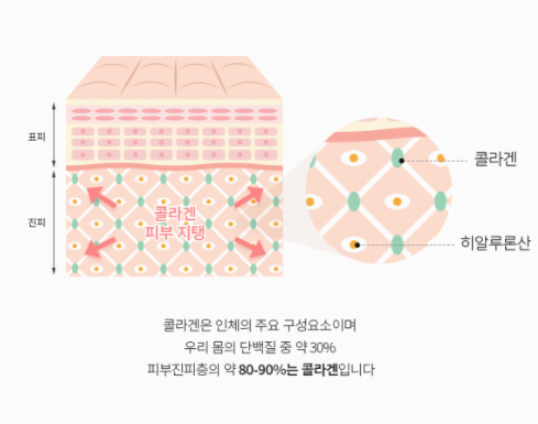레티젠 (Letigen) 정리